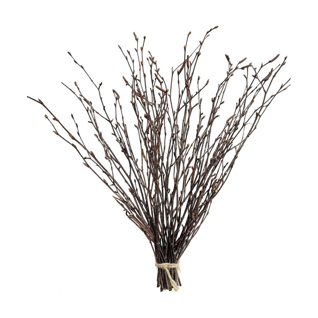 17 Inch Natural Birch Branches Dried Birch Twigs Wreath Making Supplies Dried Plants for Rustic Home Decor Easter Stems Vase Filler DIY Crafts Vases Tall Wreath Christmas Decoration Wedding (30Pcs)