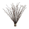 17 Inch Natural Birch Branches Dried Birch Twigs Wreath Making Supplies Dried Plants for Rustic Home Decor Easter Stems Vase Filler DIY Crafts Vases Tall Wreath Christmas Decoration Wedding (30Pcs)