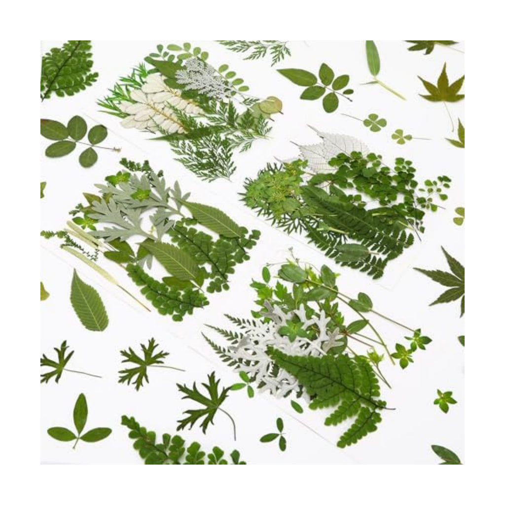 Augshy Pressed Dried Leaves Flowers, 100 Pcs Green Dried Flowers Leaves for Resin Molds Assorted Real Pressed Flowers for Crafts DIY Jewelry Molds, Scrapbooking, Candle