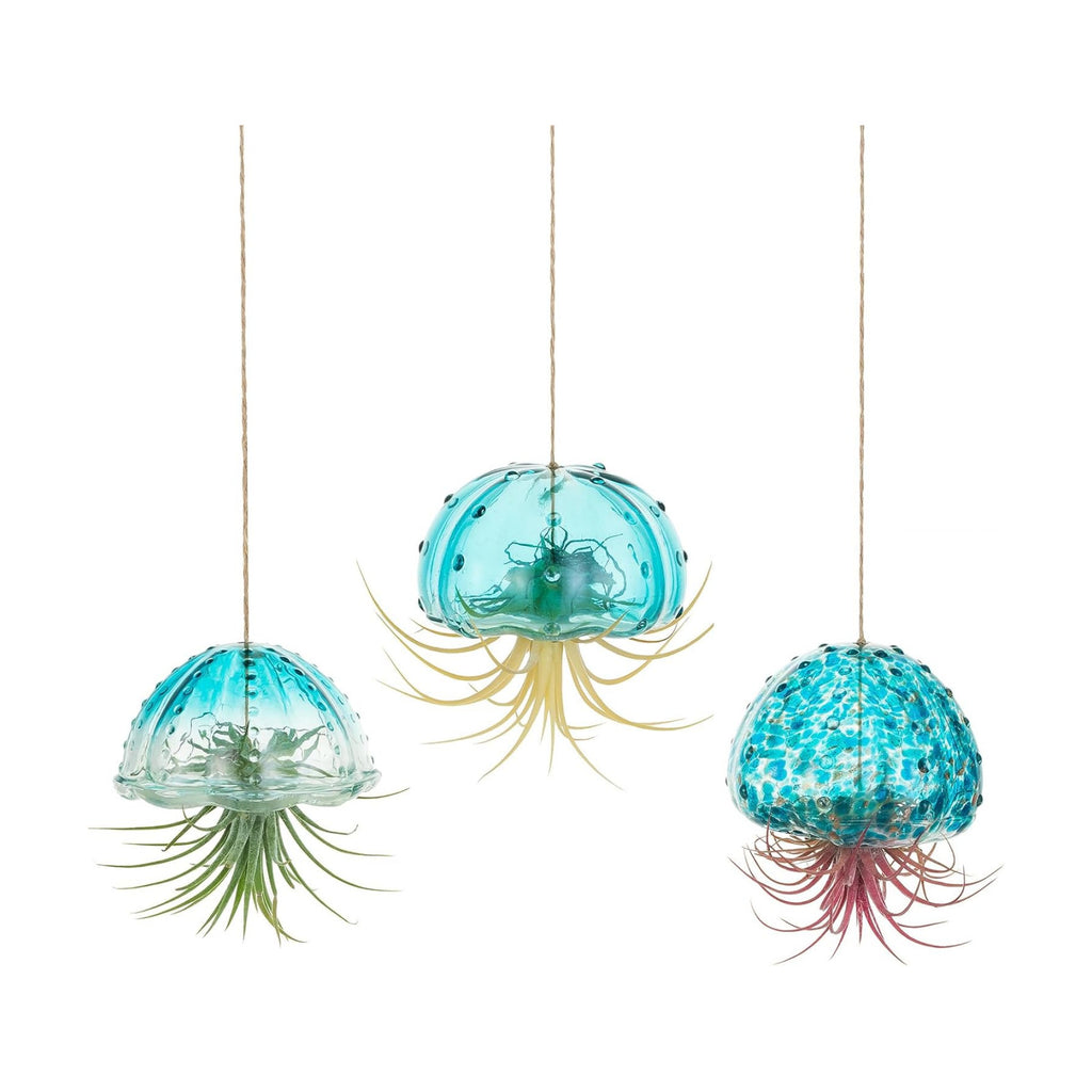 Glasseam Glass Jellyfish Decor, 3 Pcs Hanging Air Plant Holders with Jute | Tillandsia Houseplants Display, Ocean Blue