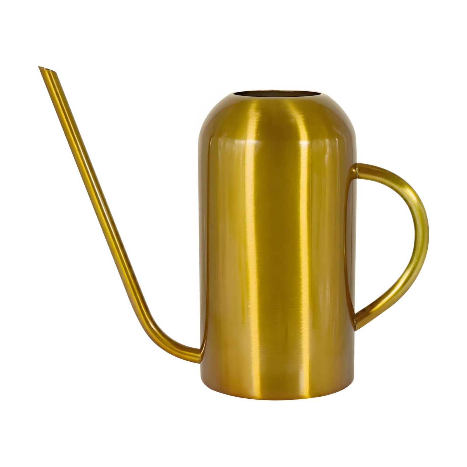 Watering Can Indoor Outdoor Plants, 50oz/1500ml Garden Long Spout Watering Cans, Stainless Steel Plants Watering Can
