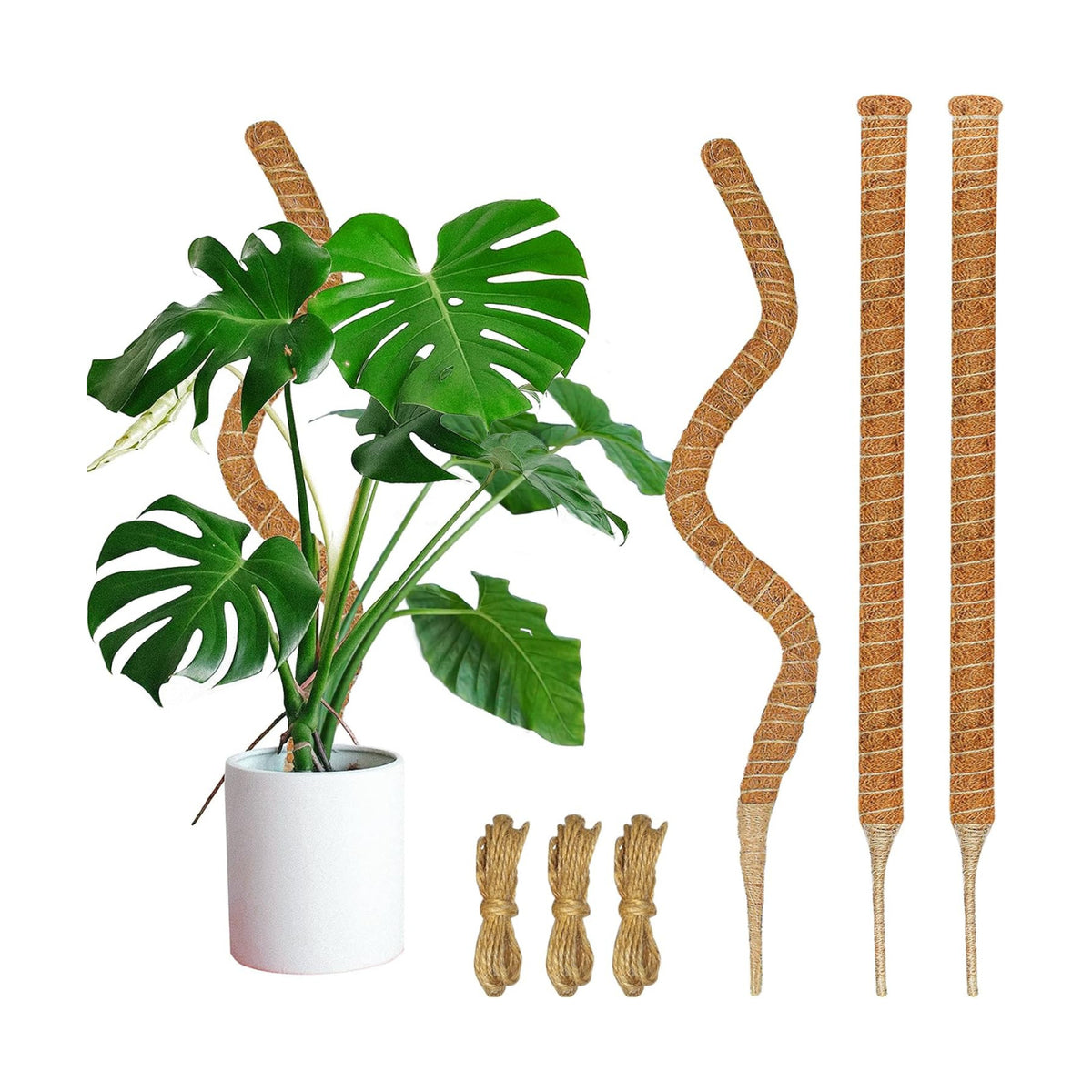 3 Pack Moss Pole, 35.4-Inch Moss Poles for Plants Monstera,Bendable Plant Support Stakes for Climbing Plants Indoor, Garden Trellis Plant Stick for Potted Plants, Pothos Philodendron