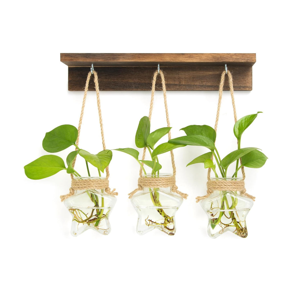 XXXFLOWER Wall Hanging Propagation Station with 3 Star-Shaped Glass Vase