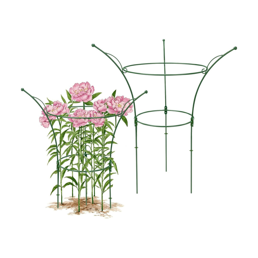 2 Pack Peony Cages and Supports Cages 13" D x 22.8" H Sturdy Metal Support Frame for Peonies & Roses Natural Bouquet