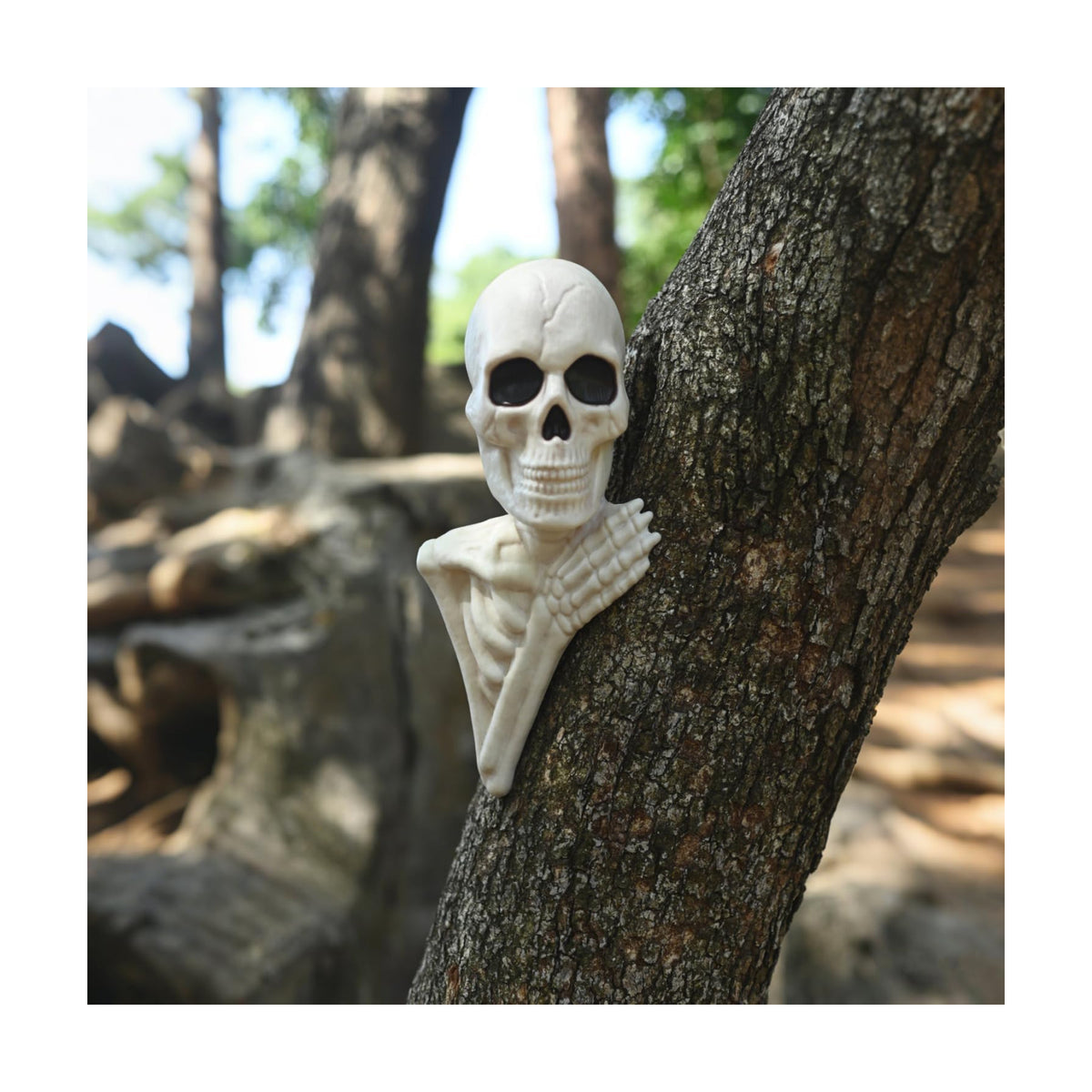 Seasons 14" Halloween Skeleton Tree Peeker