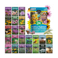American Wildflower Seeds for Planting - 24 Variety Pack of Native Plants | Native Flowers + Bunchgrasses for Butterfly
