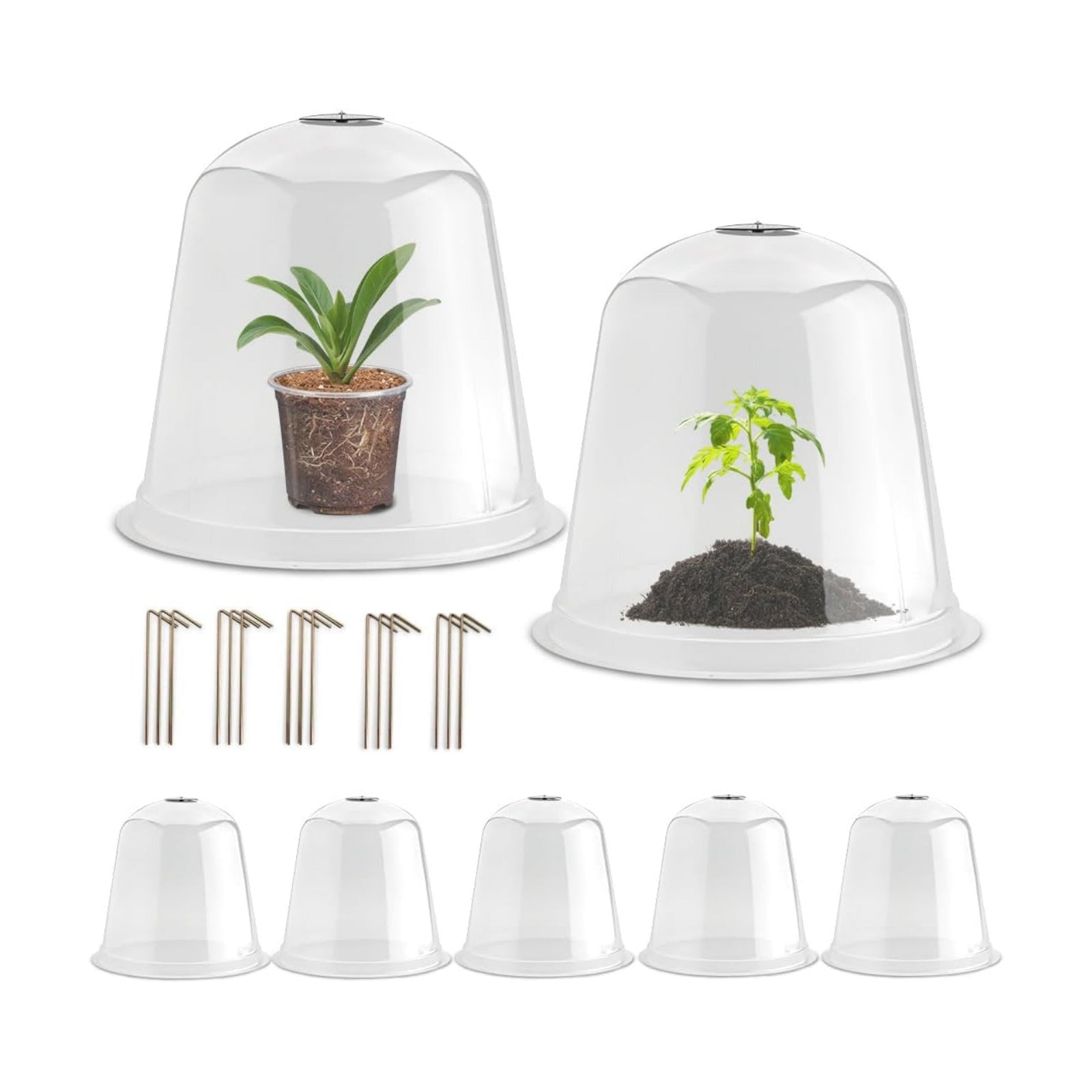 RooTrimmer 13 Inch Humidity Domes Garden Cloches for Plant Protection, Protectors from Animals, Garden Clear Plant