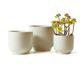 4 + 5 + 6 Inch Ceramic Pots for Indoor Plants, Succulents Plant Pots, Orchid Flower Pot with Drainage Hole, Modern Clay