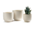 4 + 5 + 6 Inch Ceramic Pots for Indoor Plants, Succulents Plant Pots, Orchid Flower Pot with Drainage Hole, Modern Clay