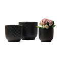 4 + 5 + 6 Inch Ceramic Pots for Indoor Plants, Succulents Plant Pots, Orchid Flower Pot with Drainage Hole, Modern Clay