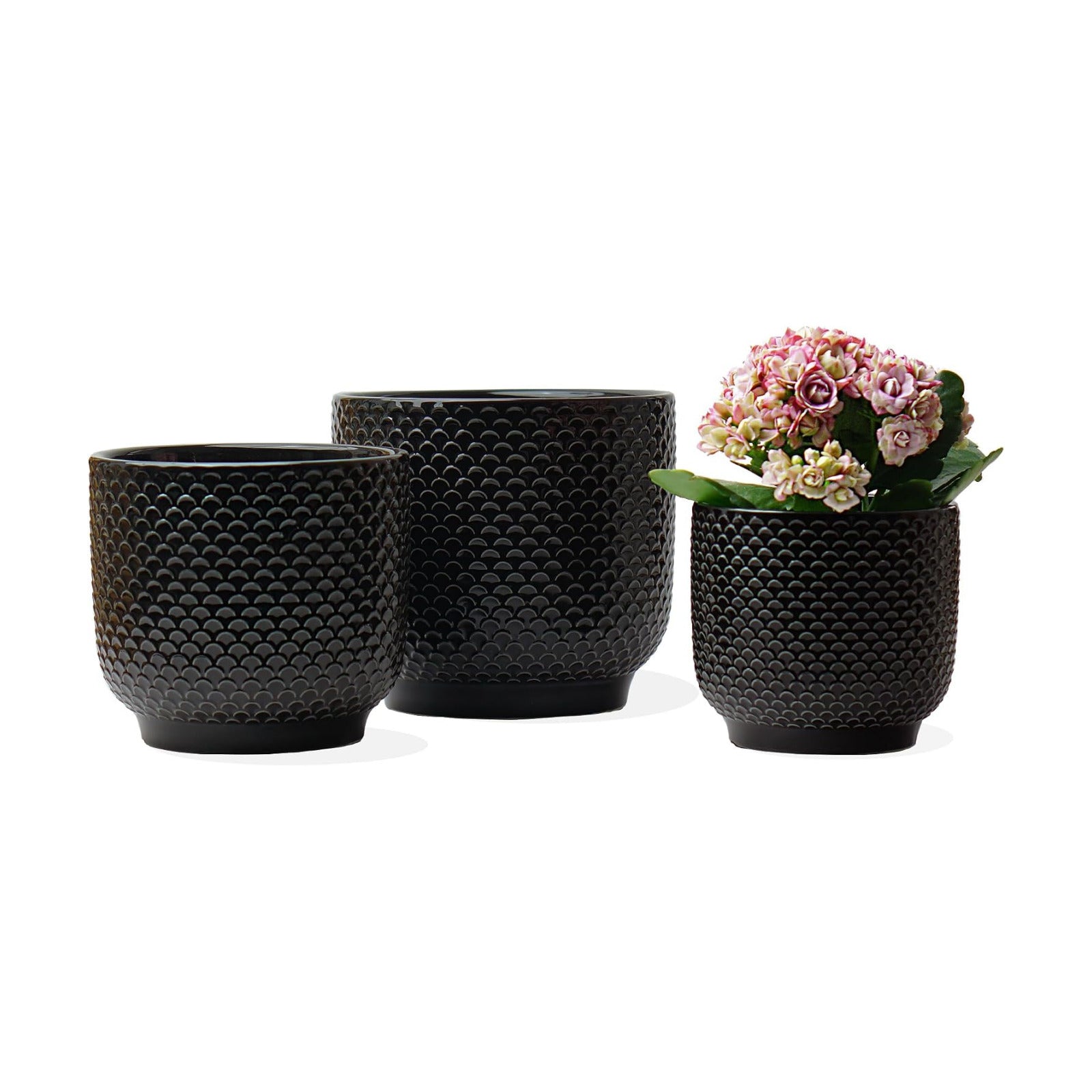 4 + 5 + 6 Inch Ceramic Pots for Indoor Plants, Succulents Plant Pots, Orchid Flower Pot with Drainage Hole, Modern Clay