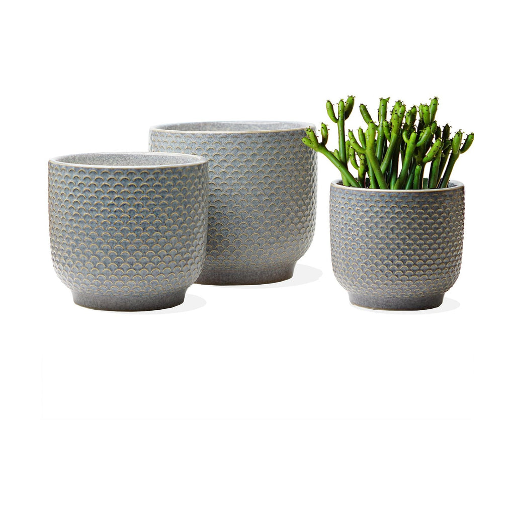 4 + 5 + 6 Inch Ceramic Pots for Indoor Plants, Succulents Plant Pots, Orchid Flower Pot with Drainage Hole, Modern Clay