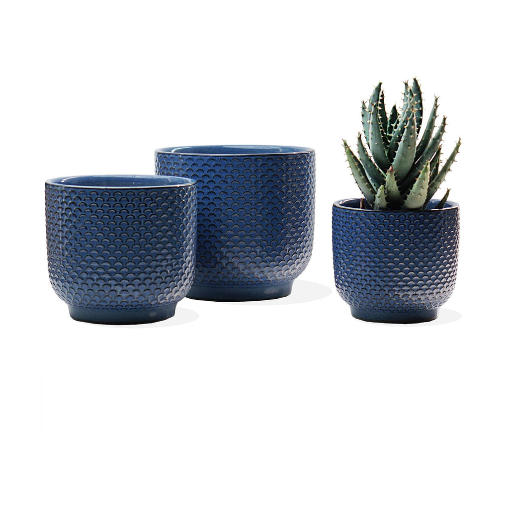 4 + 5 + 6 Inch Ceramic Pots for Indoor Plants, Succulents Plant Pots, Orchid Flower Pot with Drainage Hole, Modern Clay