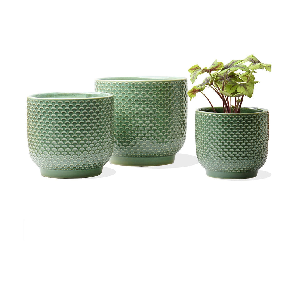 4 + 5 + 6 Inch Ceramic Pots for Indoor Plants, Succulents Plant Pots, Orchid Flower Pot with Drainage Hole, Modern Clay