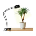 OSANI LED Grow Light 24" Gooseneck Long Arm Grow Lights for Indoor Plants, 48" Wide Coverage, 6000K Full Spectrum with