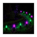 Halloween Pathway Lights with 10 Green and Purple C9 LED Stakes