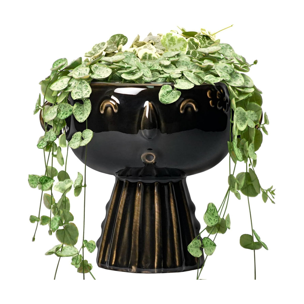 Head Planter 7 Inch - Ceramic Face Planters with Drainage Hole, Funny Succulent Pots for Indoor Outdoor, Cute