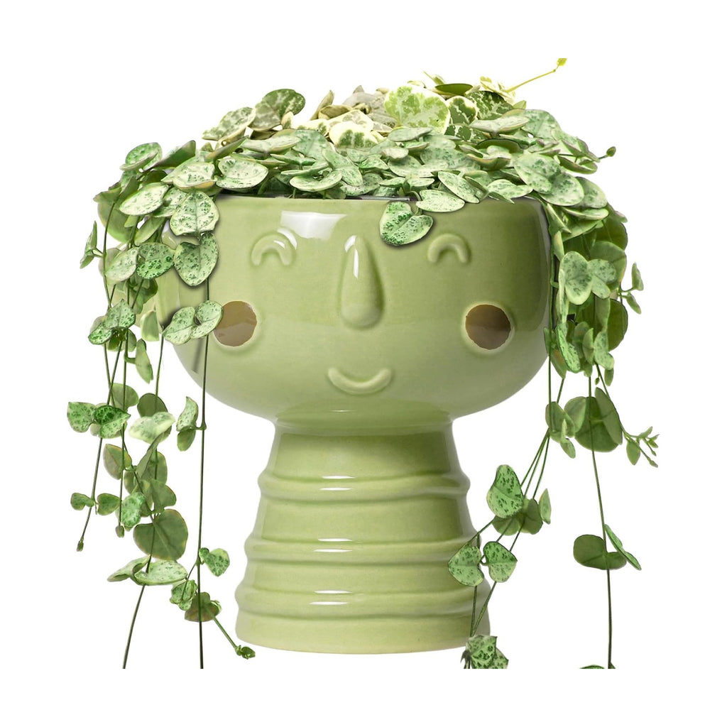 Face Planter Pots Head - 7 Inch Ceramic Succulent Plant Pots with Drainage Hole, Cute Head Planters for Indoor Outdoor