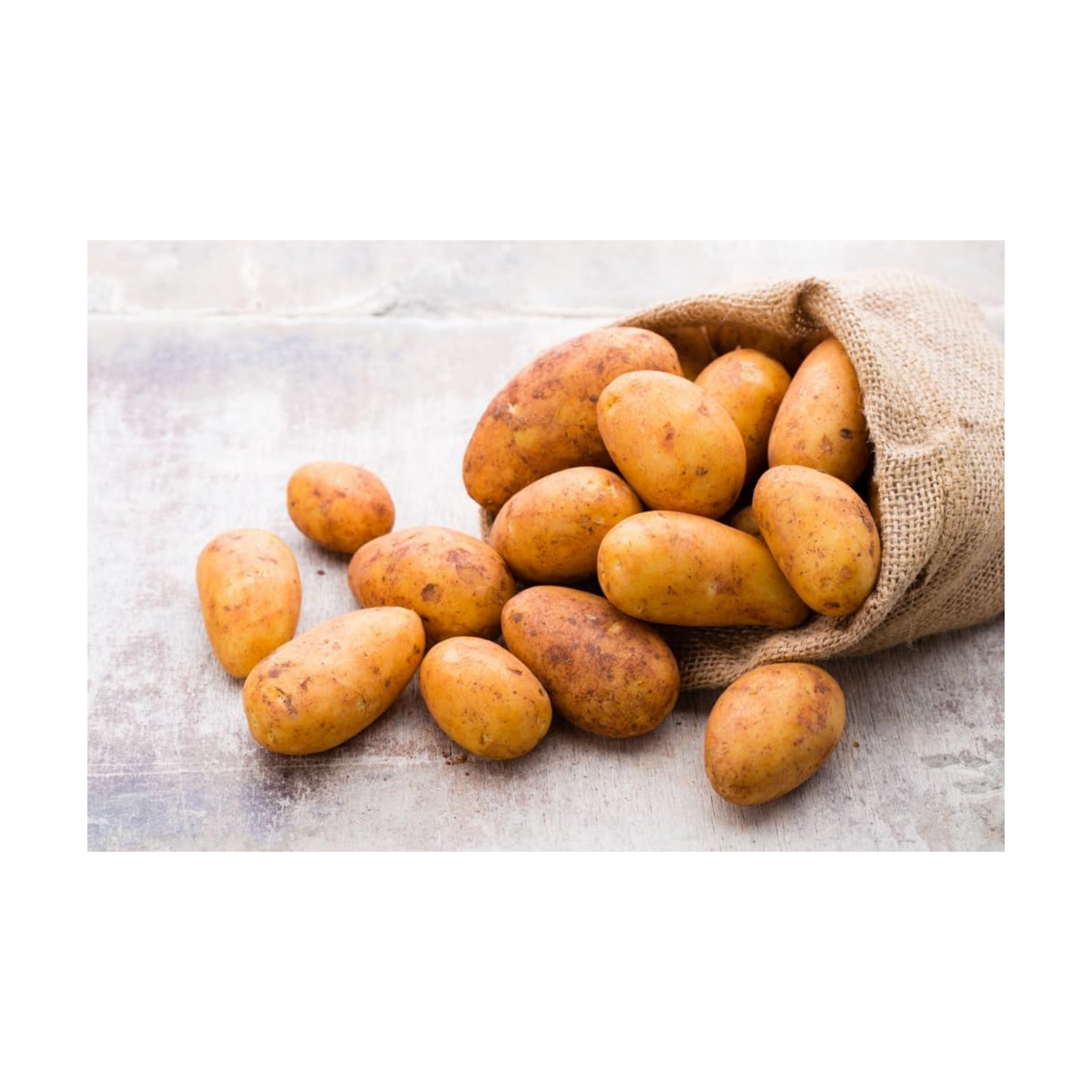 Russet Seed Potatoes for Planting - 2 Pounds - Easy to Grow Garden Potatoes for Home Garden Raised Beds Containers High