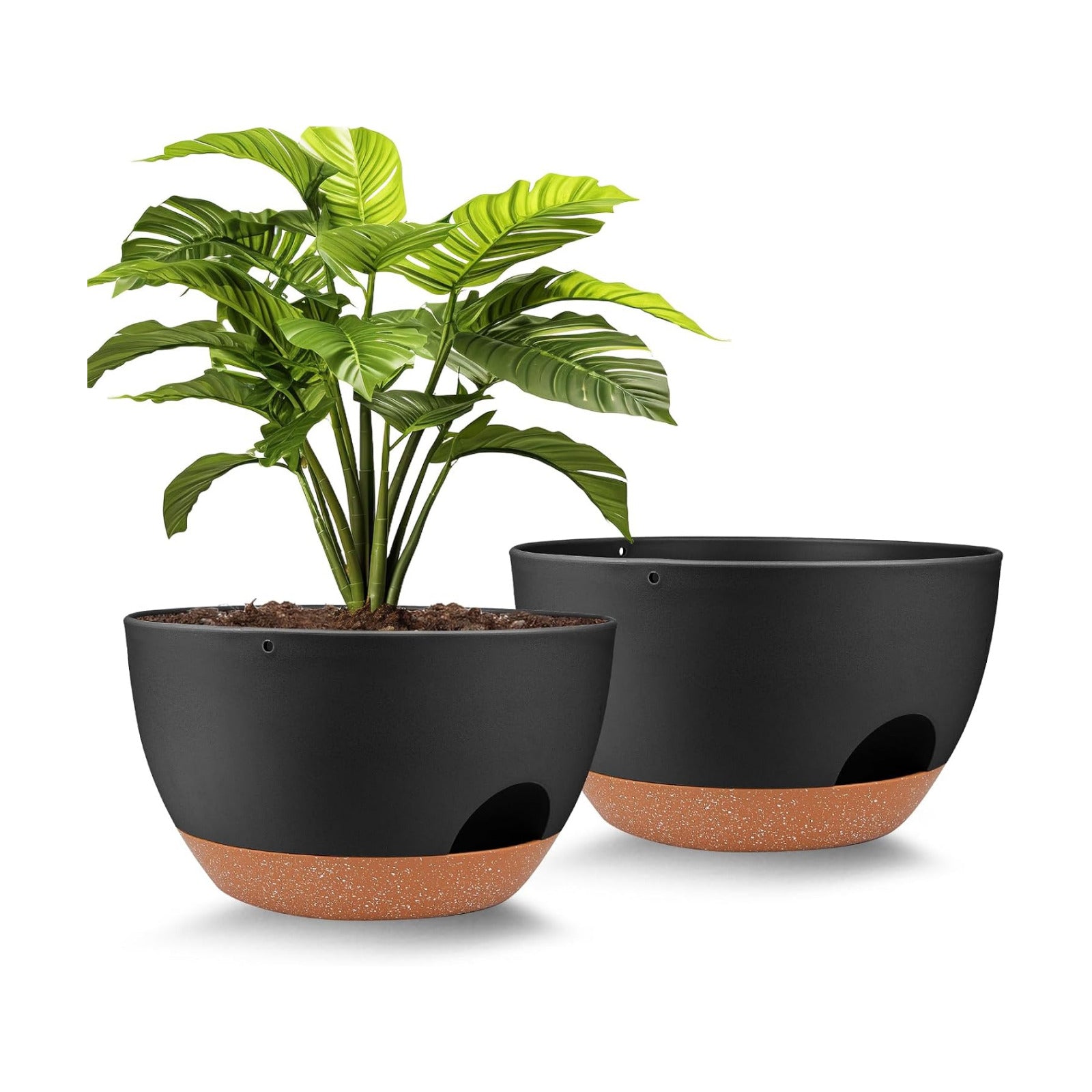 Vanslogreen Plant Pots 12inch Self Watering Pots, Set of 2 Plastic Planters with Drainage Holes and Saucers, Flower