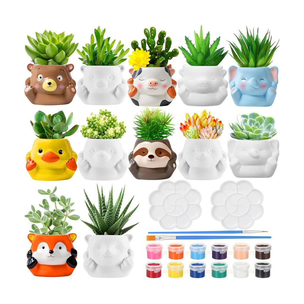Chuangdi 12 Sets DIY Ceramics Succulent Animal Pots to Paint, Lovely Style