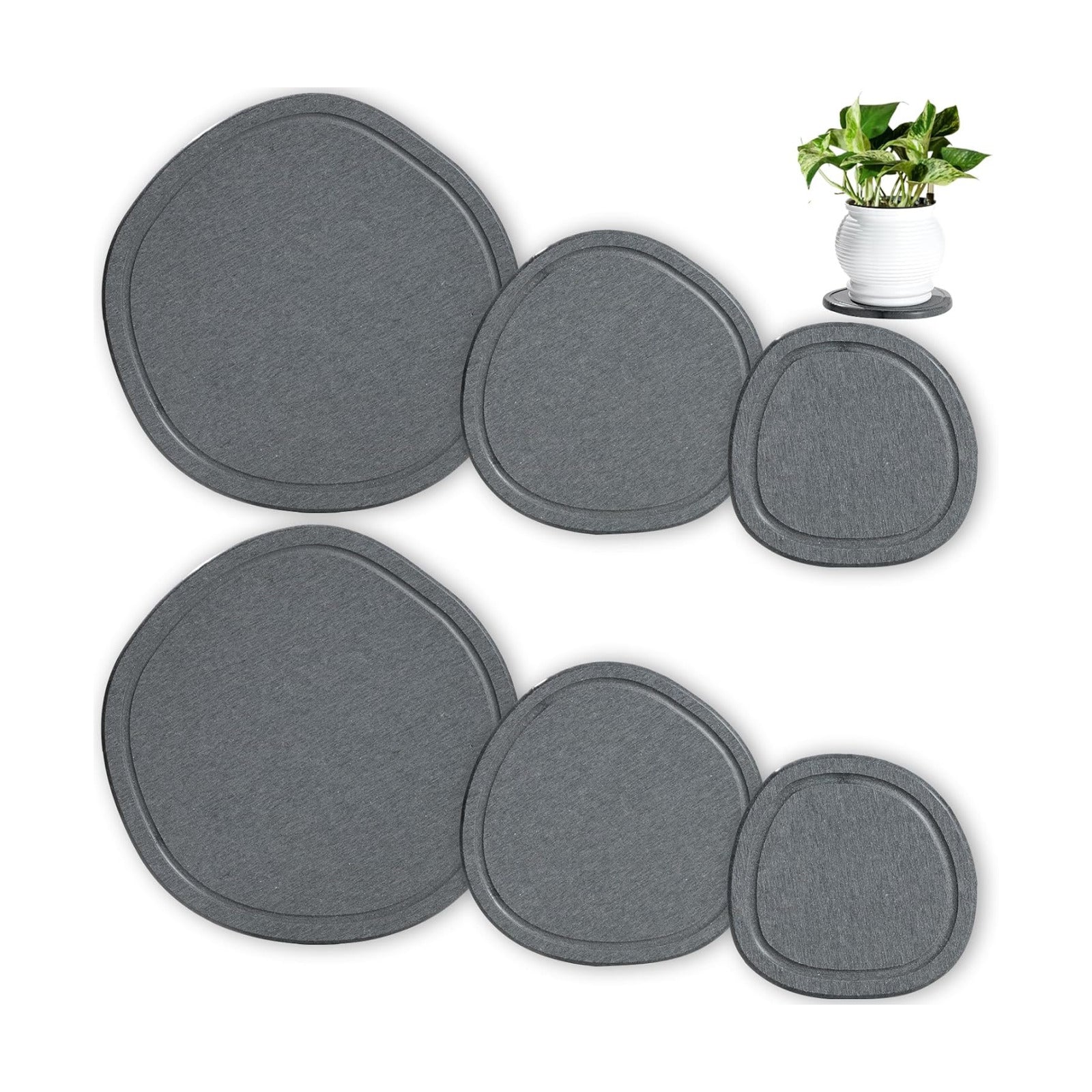 4 6 8 Inch 6 Pack Diatomite Plant Saucers for Indoors, Plant Drip Tray | XRzitky Quick Absorbent and Dry Plant Plates