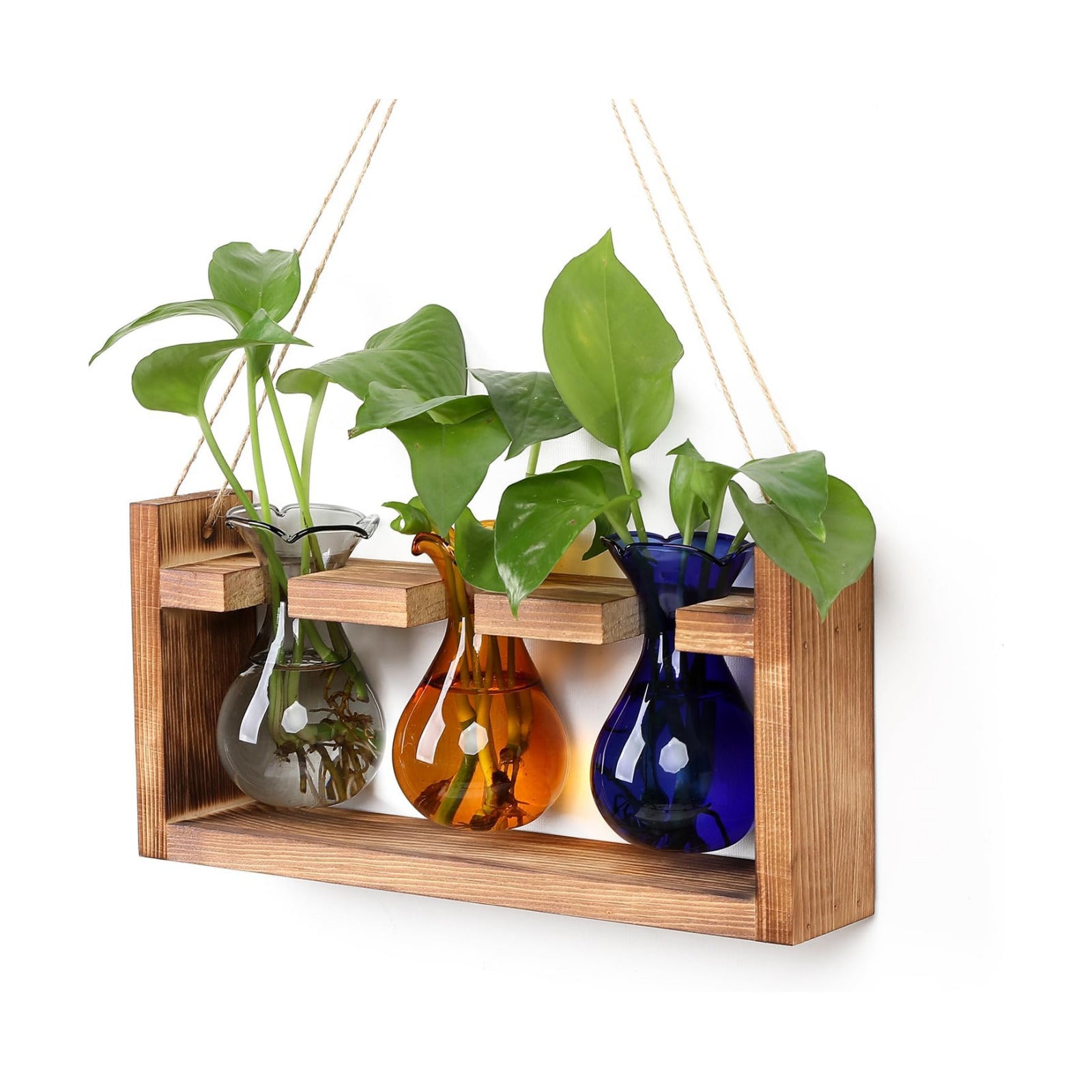 Plant Propagation Station Plant Terrarium Unique Birthday Gifts for Women | Plant Lovers Home Office Decor Planter with