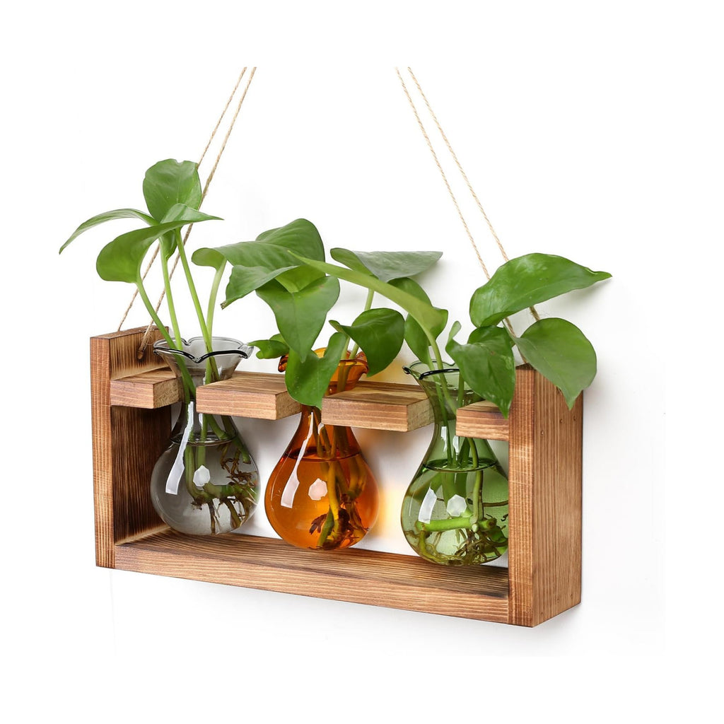 Plant Propagation Station Plant Terrarium Unique Birthday Gifts for Women | Plant Lovers Home Office Decor Planter with