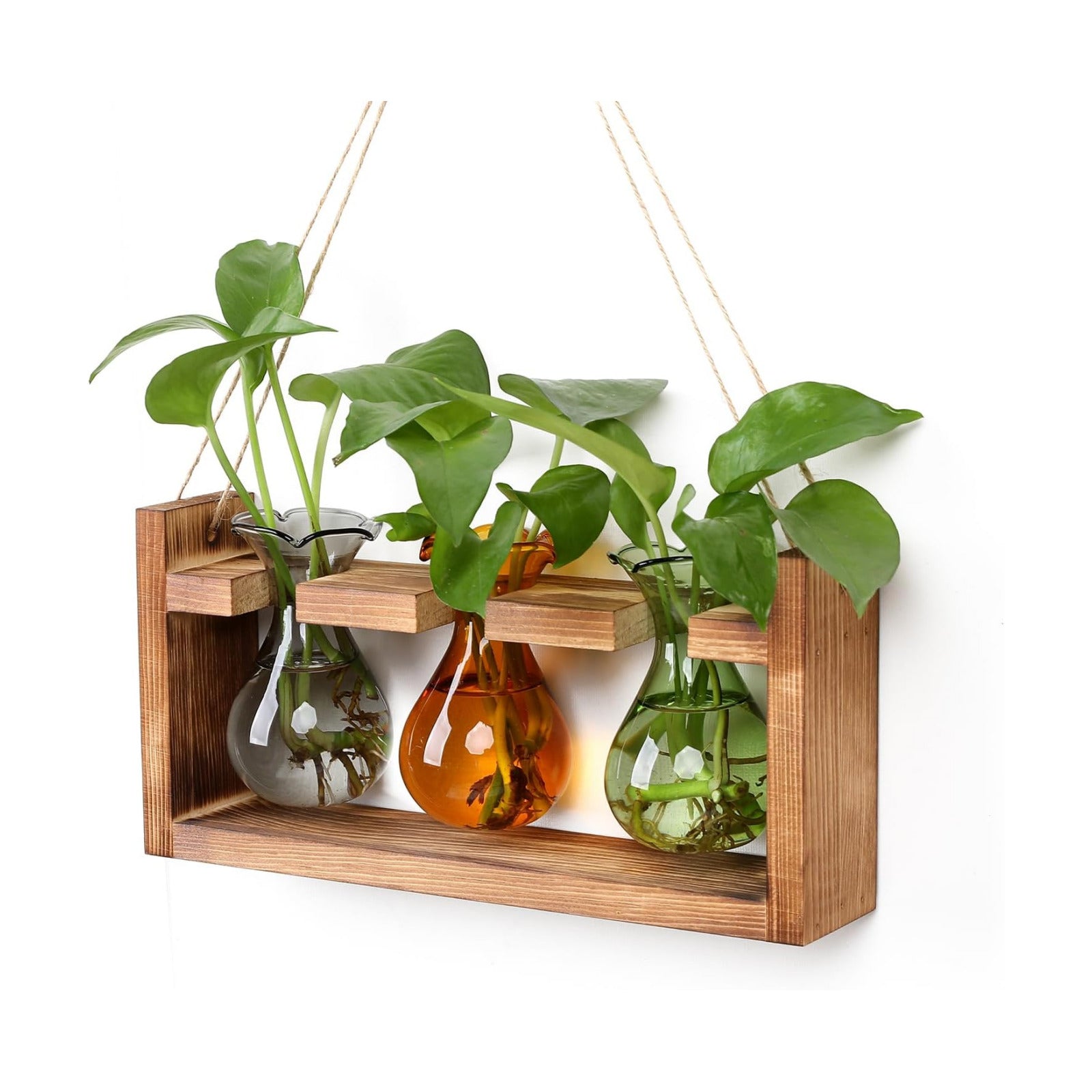 Plant Propagation Station Plant Terrarium Unique Birthday Gifts for Women | Plant Lovers Home Office Decor Planter with