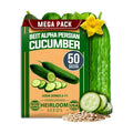 HOME GROWN Persian Cucumber Seeds, 50+ Seeds, Cucumis sativus