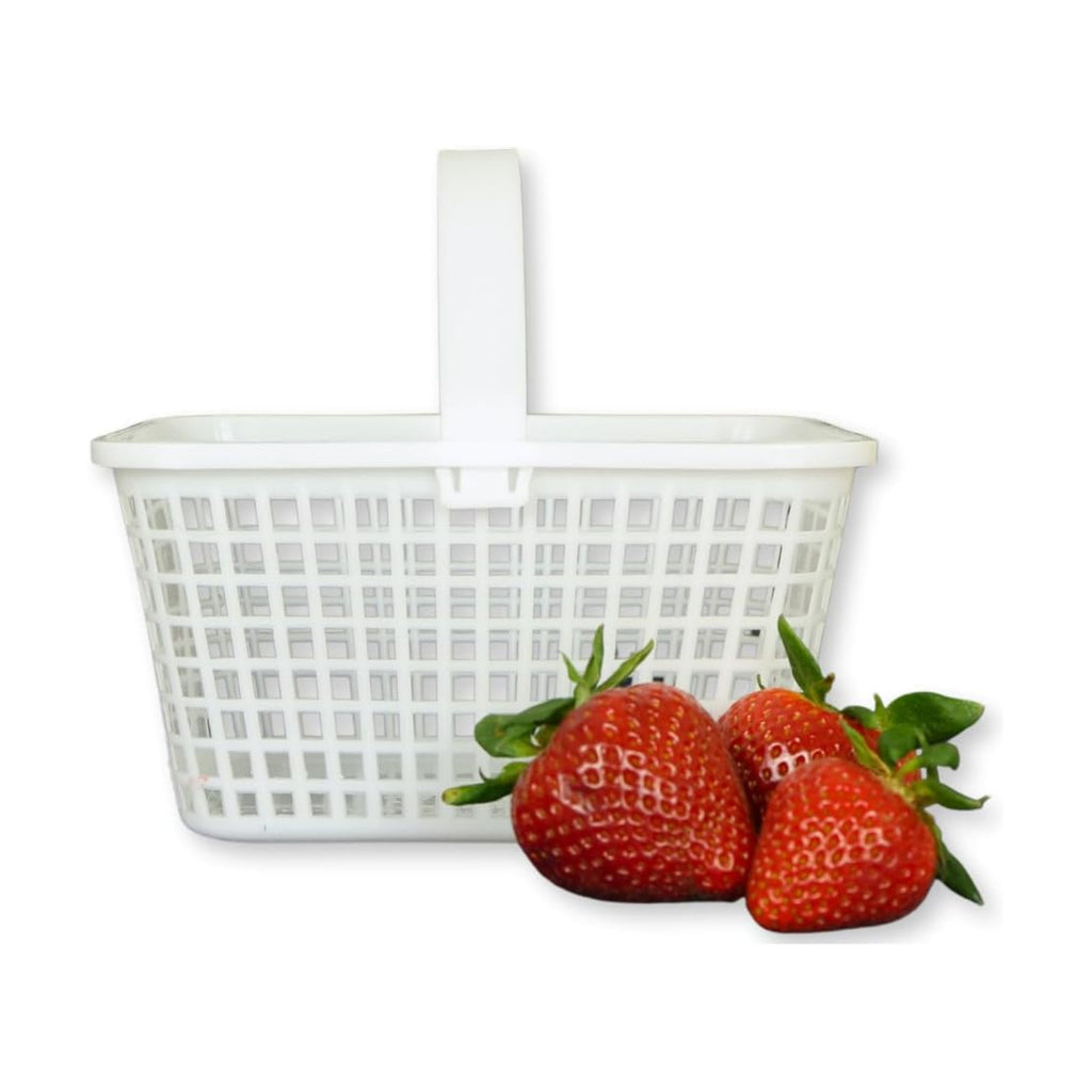 12 Pack – Small Plastic Basket with Handle for Produce Display, Harvesting Fruits and Vegetables, Party Décor, or