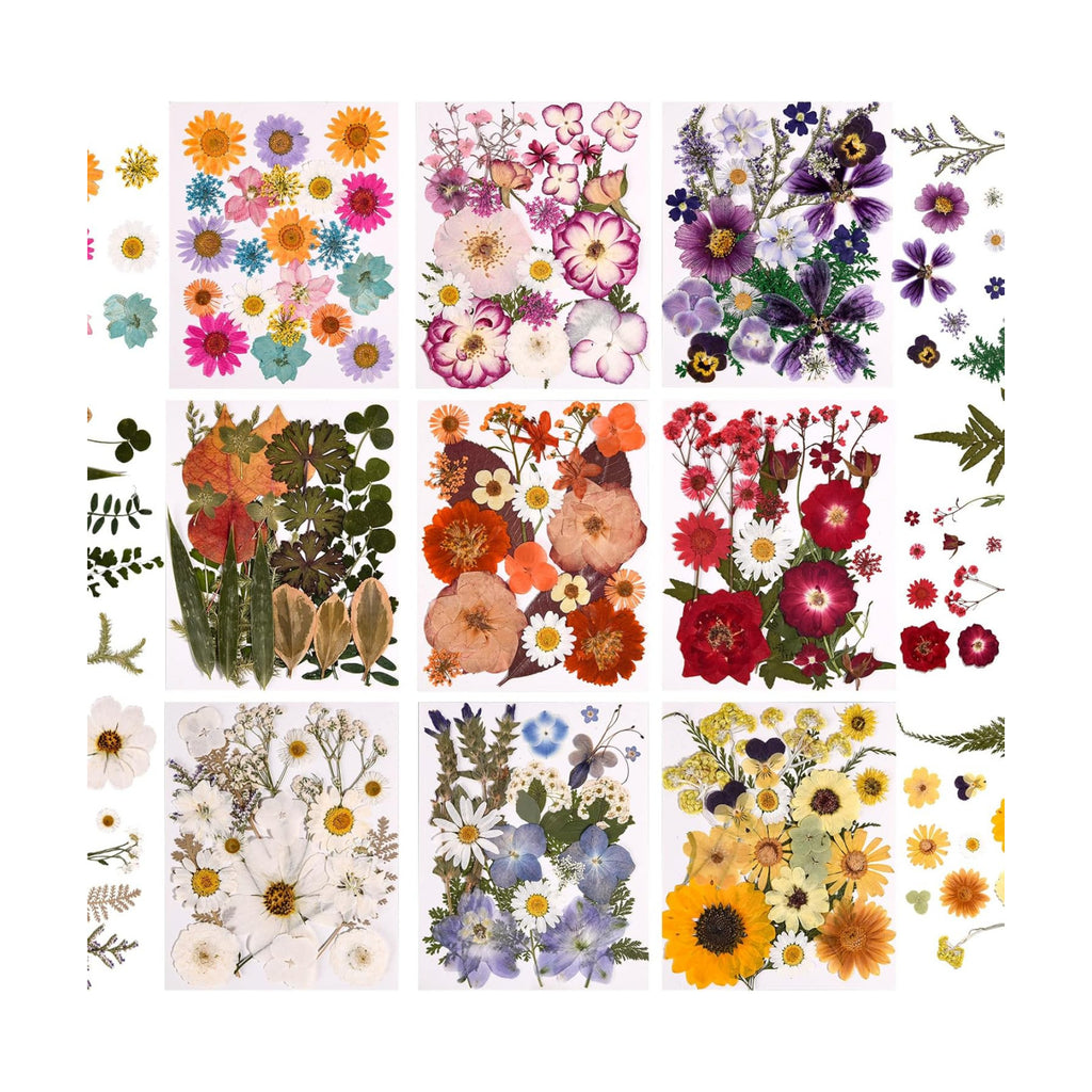 9 Packs of 200 Pressed Dried Flowers and Leaves for DIY Crafts