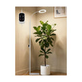 24W Grow Lights for Indoor Plants, Full Spectrum LED Plant Light With Stand