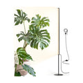 Barrina T1S Vertical Grow Light, 65W Full Spectrum, 5FT-5.6FT Height, Black