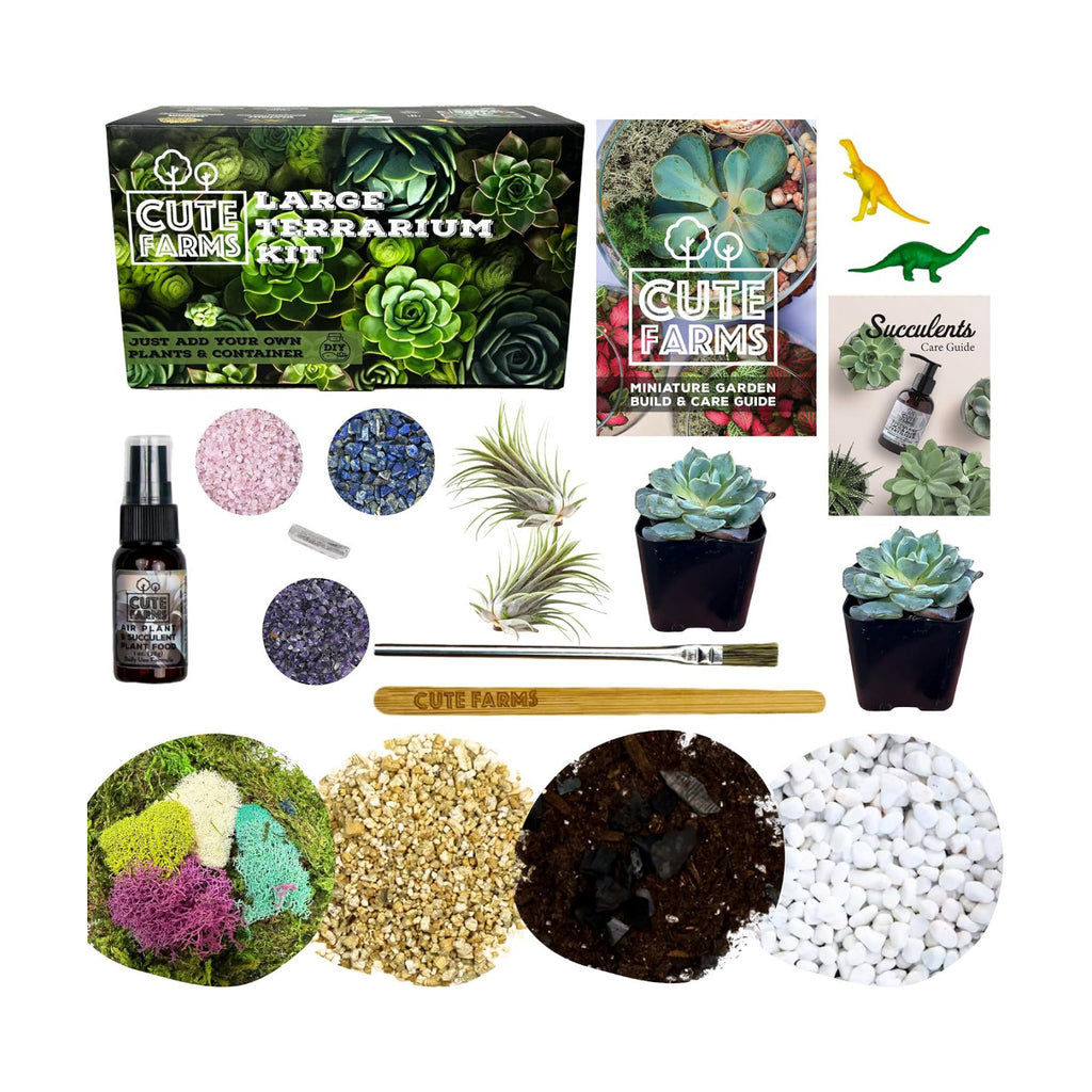 Terrarium Starter Kit | Moss, Vermiculite, Soil, Pebbles, Plant Food, & Finishing Tools (Large Kit + Live Plants +