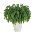 4PCS Christmas Norfolk Pine Branches with 2 Pine Cone Stems