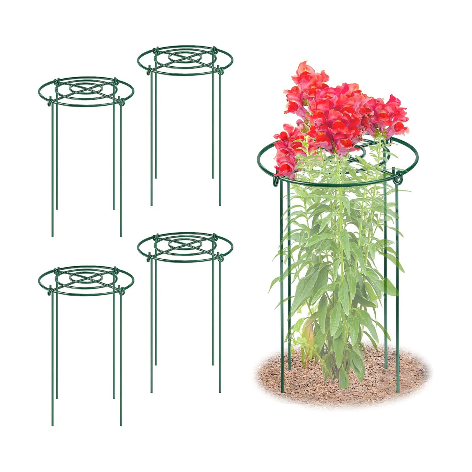 4 Pack Large Peony Cages and Supports, 14" D x 24" H Metal Plant Supports | Heavy Duty Metal Peony Support Cage Flower