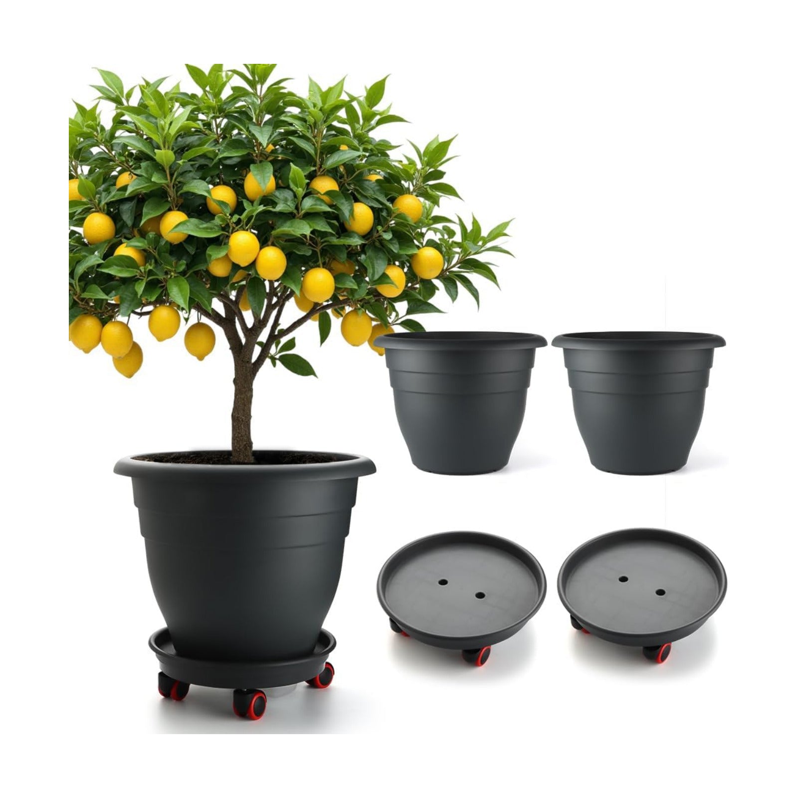 RooTrimmer 3 Pack 16 Inch Rolling Large Plant Pots | Heavy duty plastic planters with wheeled saucers and drainage