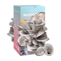 Organic Edible 4lbs Oyster Mushroom Growing Kit, Made in USA, Double-Side Mushroom Grow Kit Indoor, Harvest Gourmet