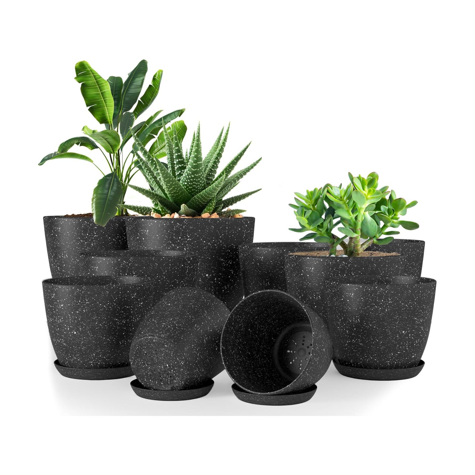 Plant Pots Indoor with Drainage 10 Pack Multi-Size Planters Spotty Black | Drainage holes included Multiple sizes
