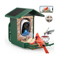 PeckCam® Bird Feeder with Camera Solar Powered 2K Live Video Auto Capture