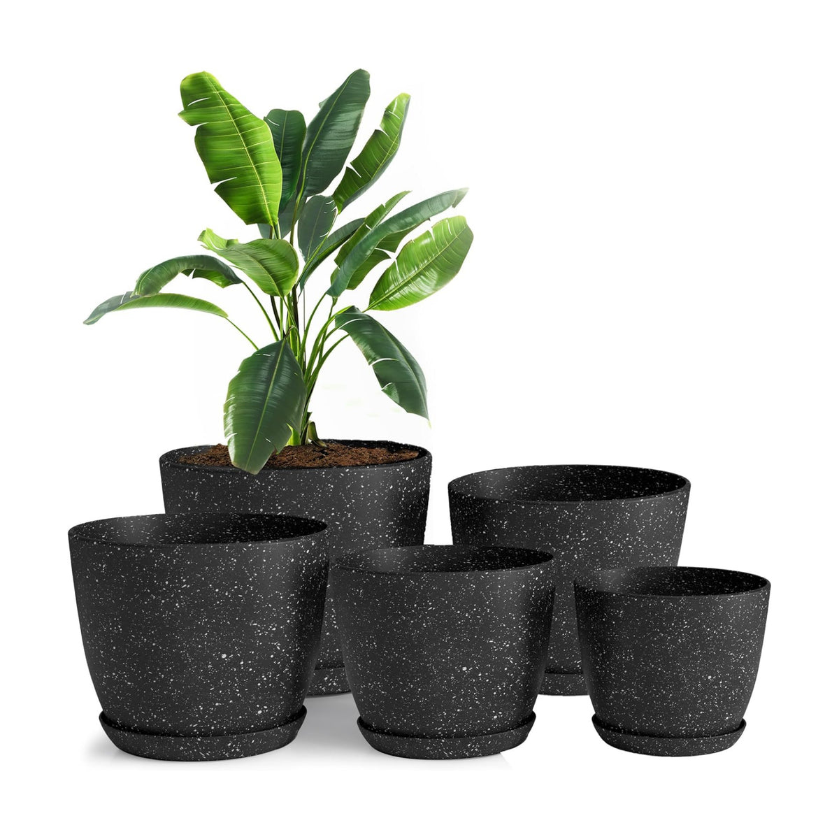 Plant Pots Indoor with Drainage 5 Pack Multi-Size Planters Set Spotty Black