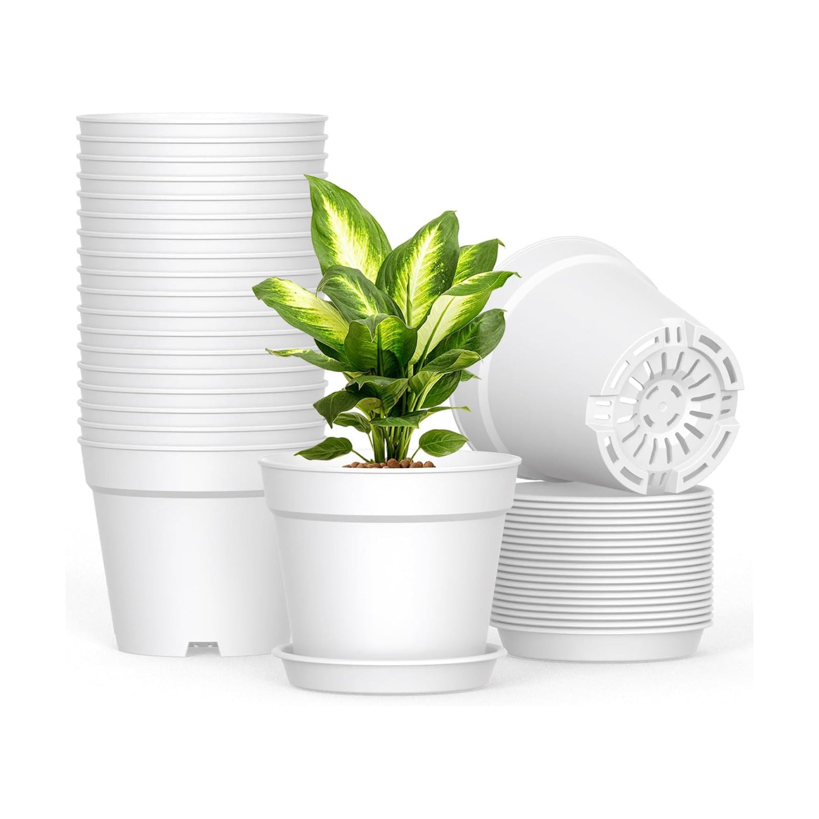 SwinDuck 20 Pack 6 Inch Plant Pots with Drainage and Saucers, White Plastic Flower Pots for Indoor and Outdoor Plants