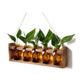 Plant Terrarium Propagation Stations Halloween Skull Planter Vase Skulls | decor With Wooden Stand Gife for Father - 5