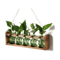 Plant Terrarium Propagation Stations Halloween Skull Planter Vase Skulls