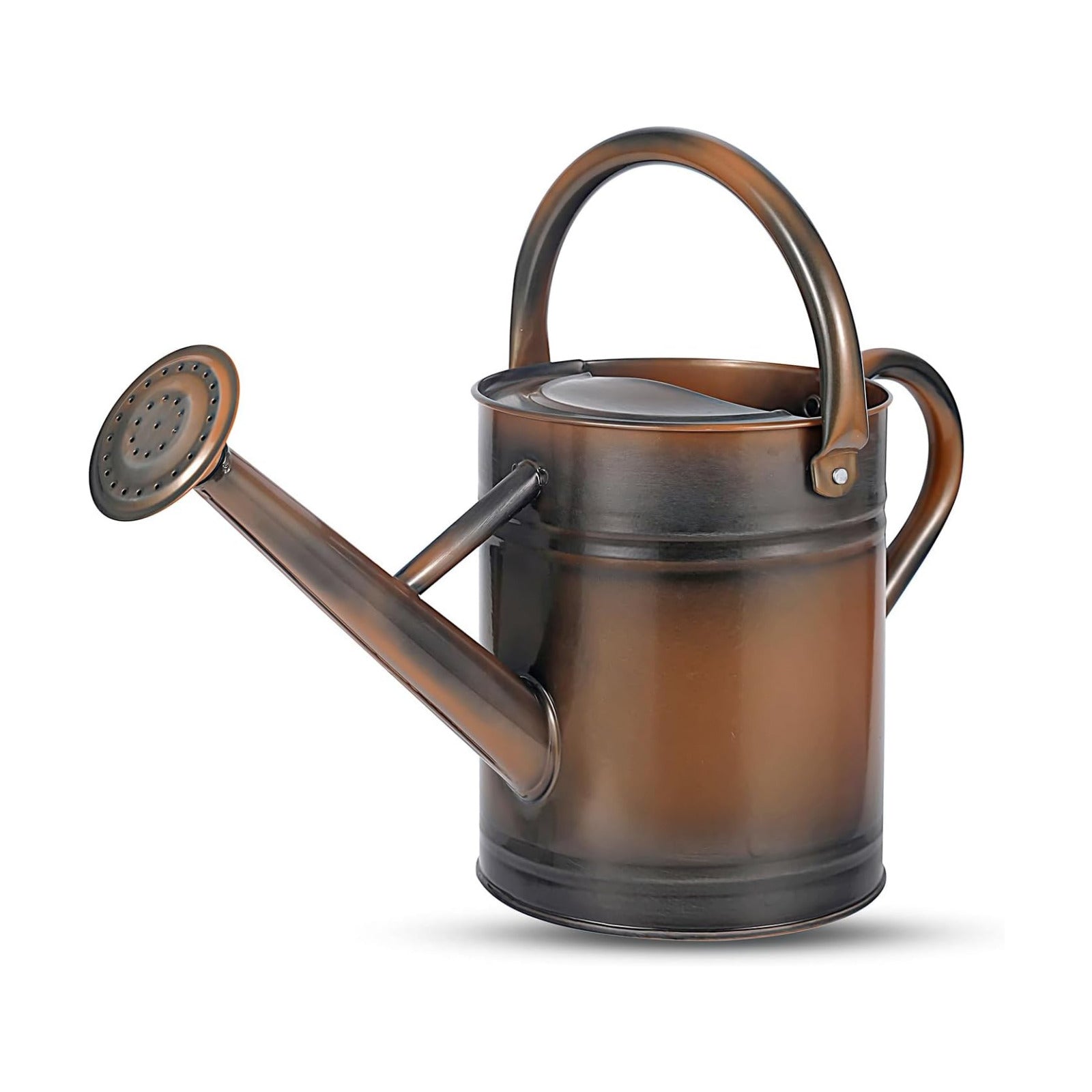 1 Gallon Watering Can for Plants, Watering Cans for Indoor&Outdoor Gardening, Galvanized Steel Watering Pot with