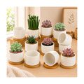 ZOUTOG Succulent Pots 3.1 Inch,Succulent Planters 12 Pack,Small Pots for Plants with Drainage and Tray,White Ceramic