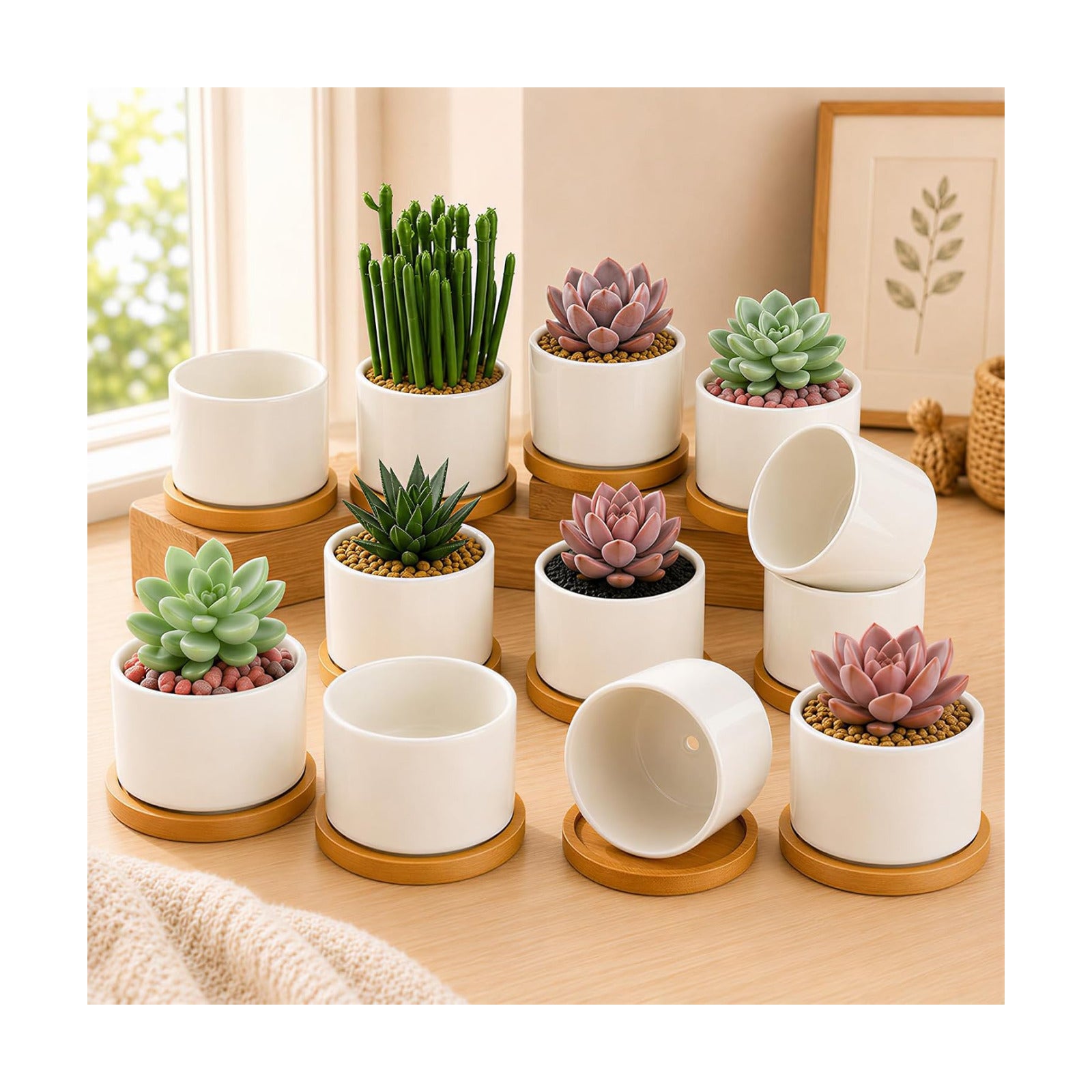 ZOUTOG Succulent Pots 3.1 Inch,Succulent Planters 12 Pack,Small Pots for Plants with Drainage and Tray,White Ceramic