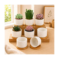 ZOUTOG Ceramic Succulent Pots 8 Pack,3.6 Inch Plant Pots,Succulent Planters with Drainage Hole & Bamboo Tray for Indoor