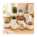 ZOUTOG 12 Pack Ceramic Succulent Pots,3.6 Inch Plant Pots,Succulent Planters with Drainage Hole & Bamboo Tray for